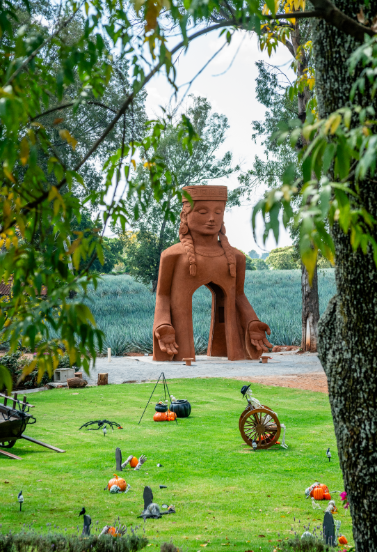 Rancho Agavero en Jalisco