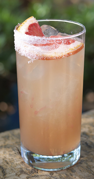 Fiesta en rancho agavero