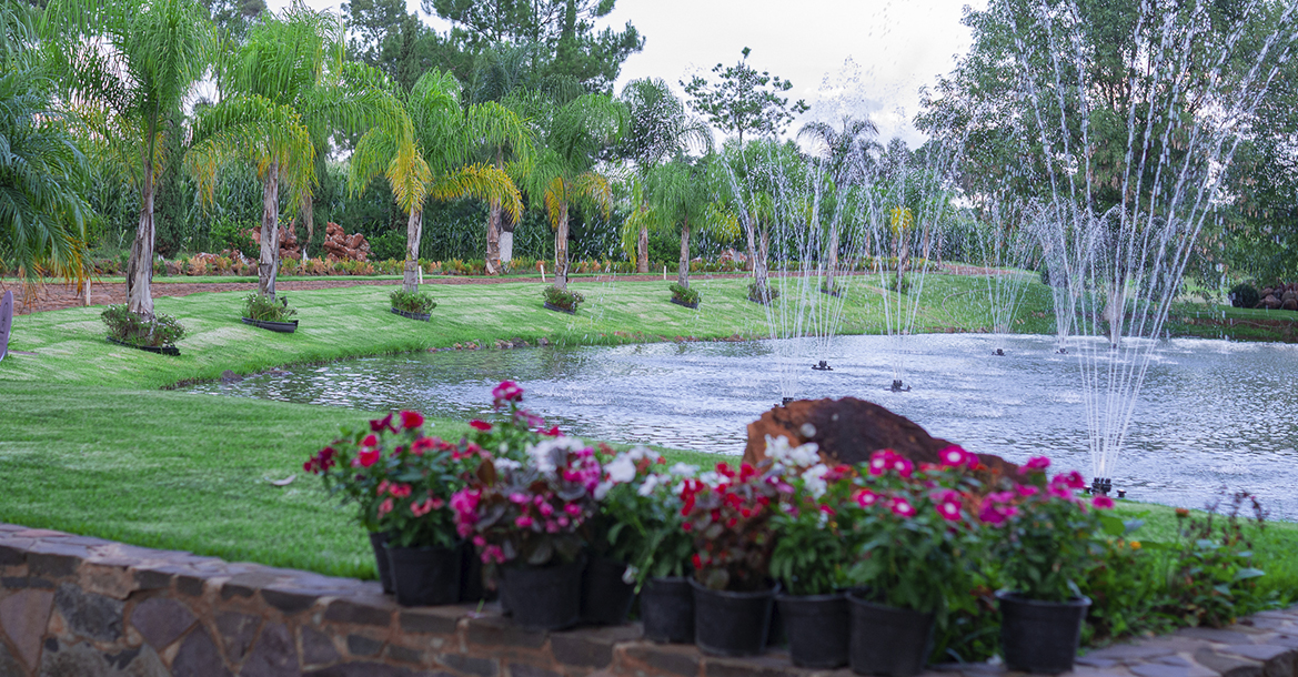 Celebra tu boda en un rancho agavero